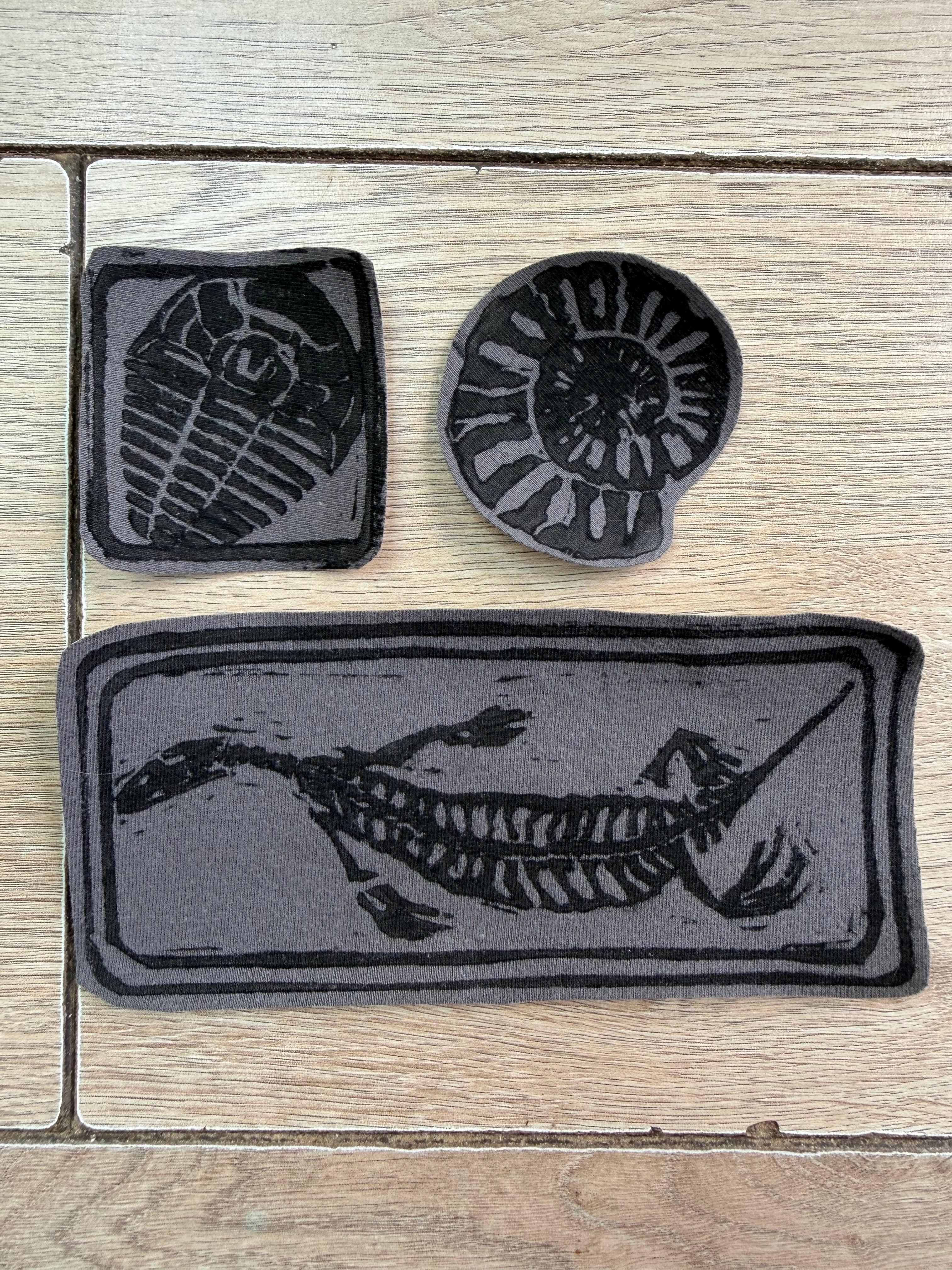 Iron on fossil patches