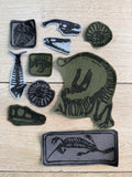 Iron on fossil patches