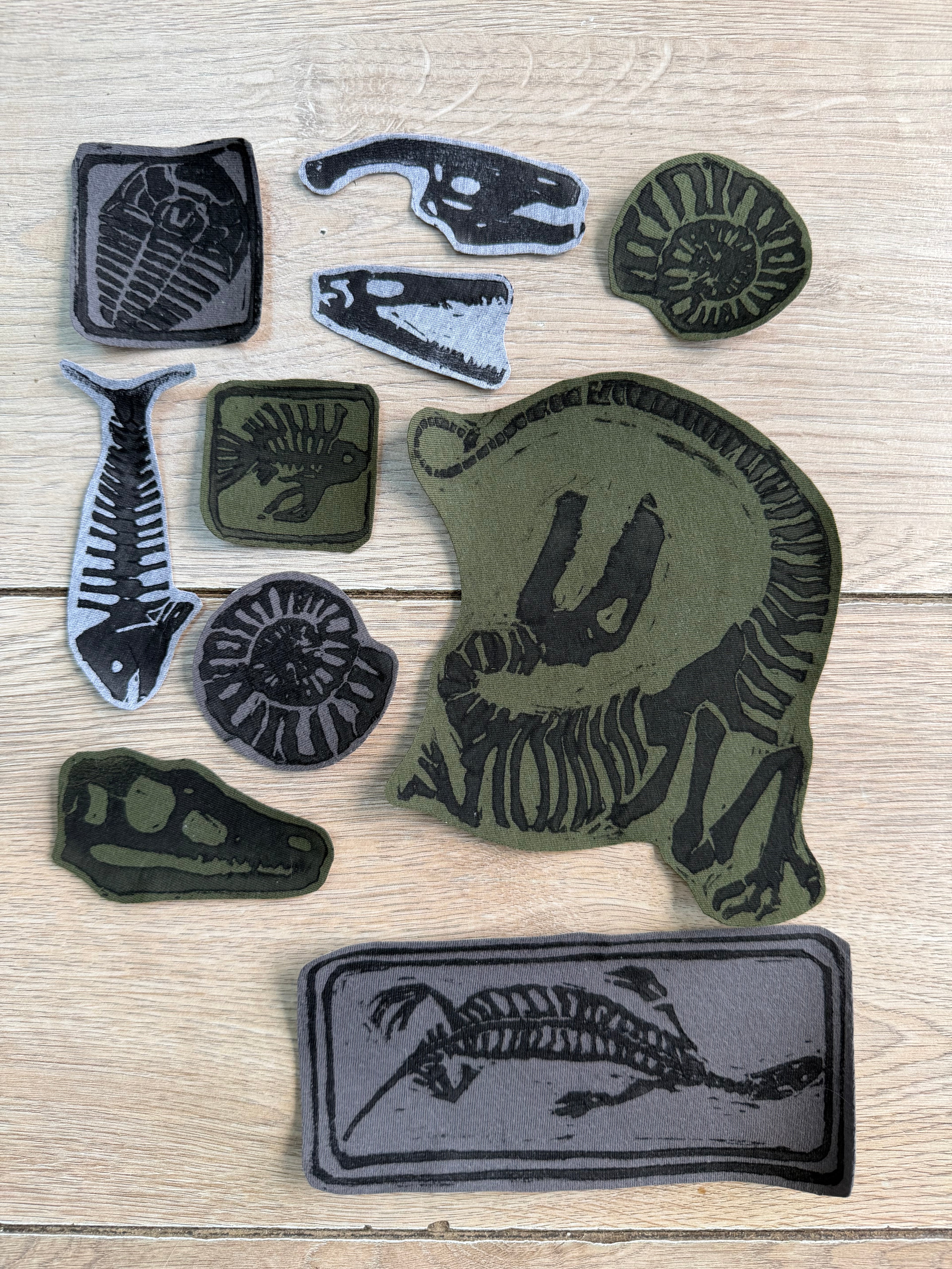 Iron on fossil patches